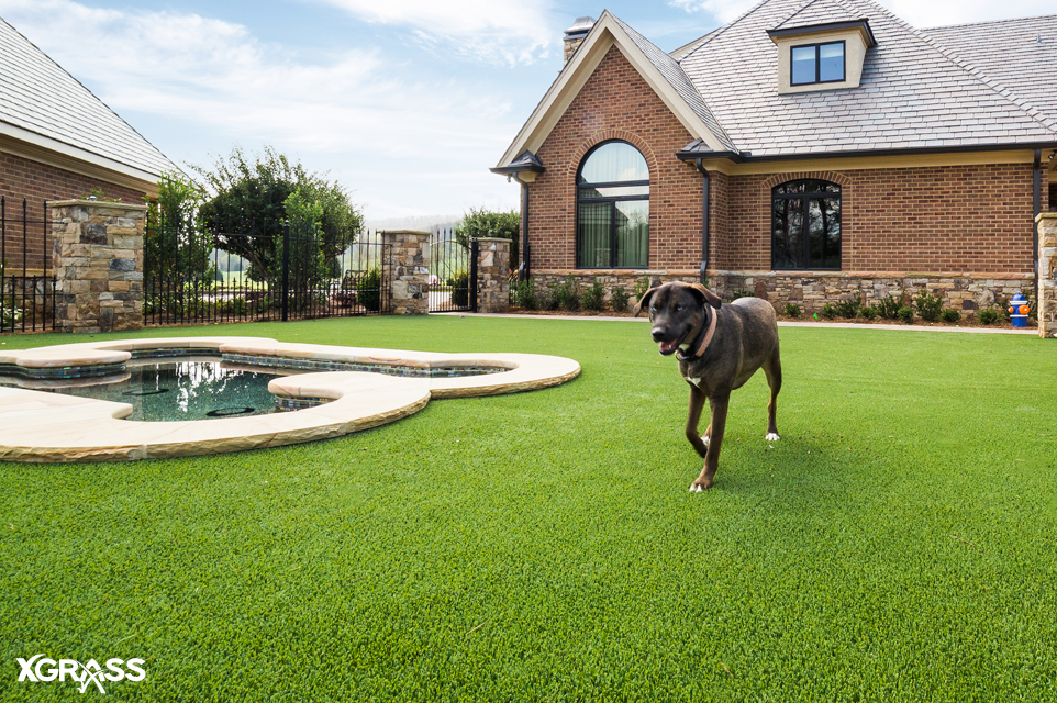 Pet friendly backyard using artificial grass