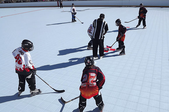 Roller Hockey the Sport