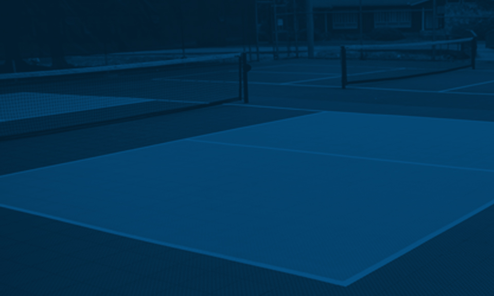 Background image of pickleball court